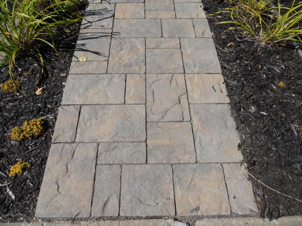 Stamped Concrete Staining in San Ramon