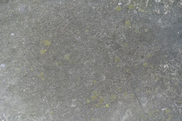 Cost of Slab Staining Service in San Ramon